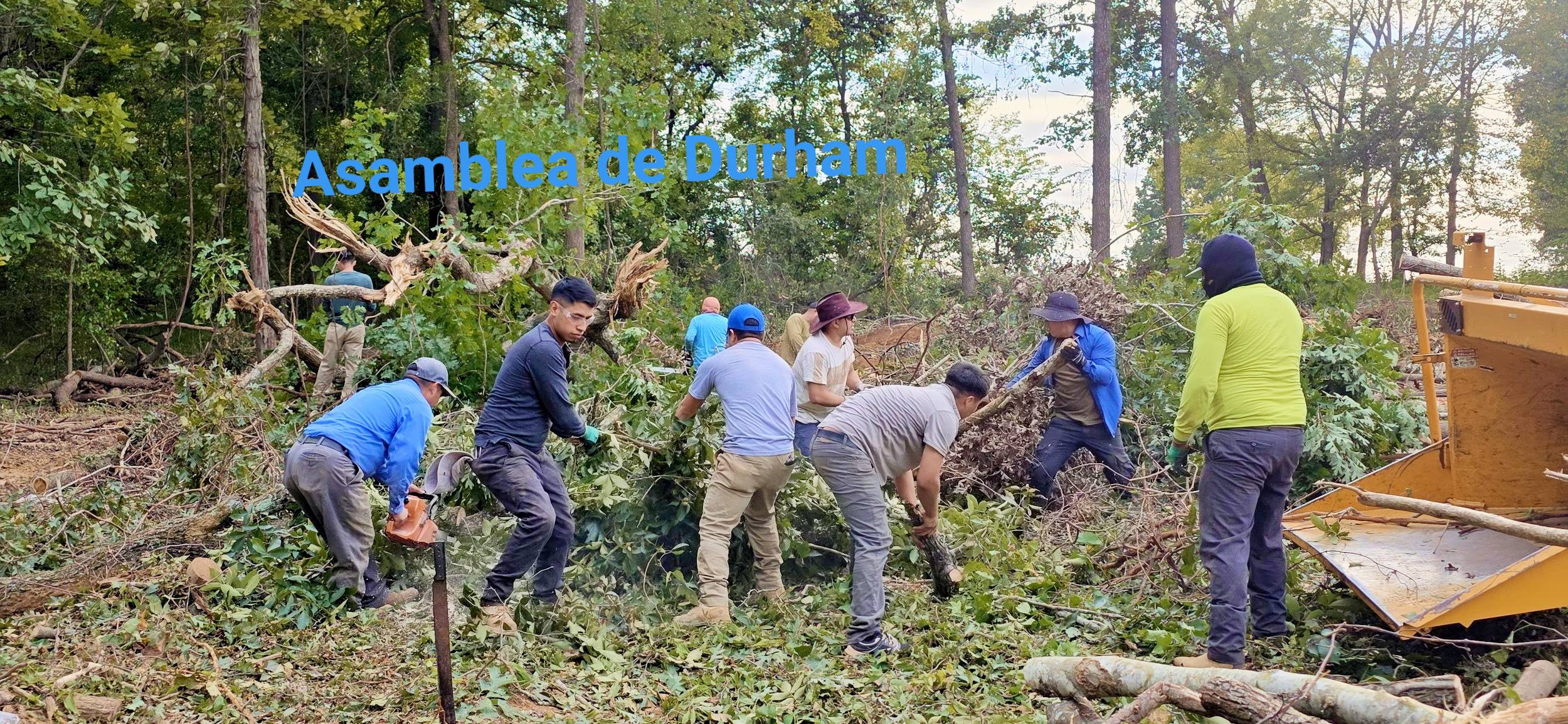 545591390 671730939282823 504923252702937118 n